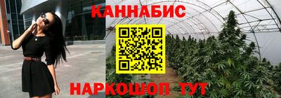 индика Новозыбков