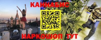 индика Новозыбков