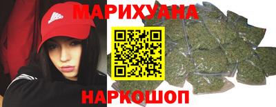 индика Новозыбков
