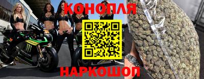индика Новозыбков