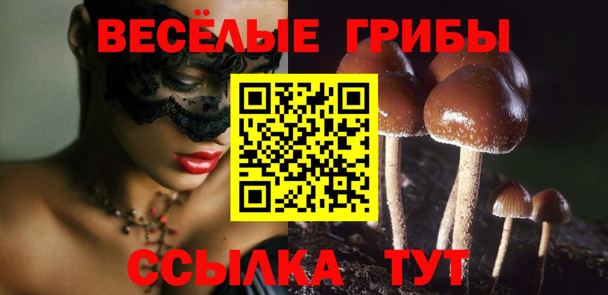 Псилоцибиновые грибы Magic Shrooms  Вход с VPN  Тамбов 